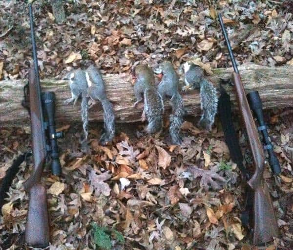 Best Scope for Squirrel Hunting