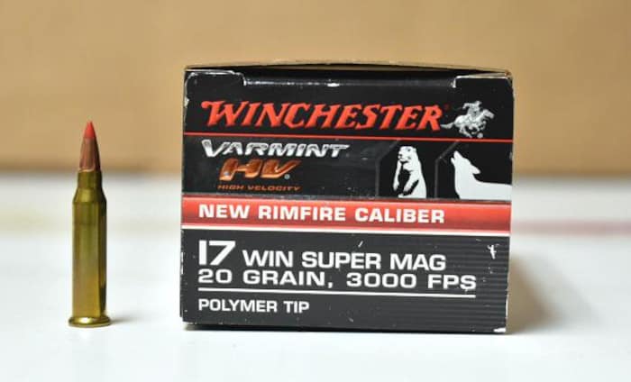 17 Winchester Super Magnum Round