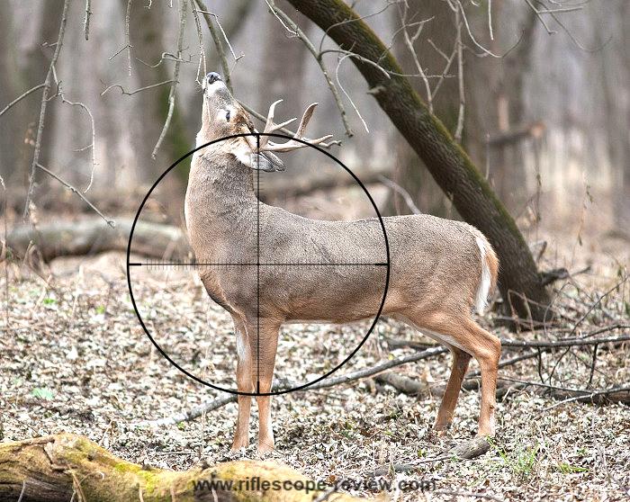 What's the best scope magnification for deer?